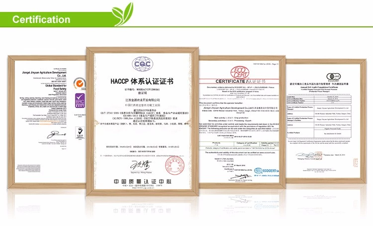 Chinese Various Flavour Crispy Fried Vegetable Fruit Snack