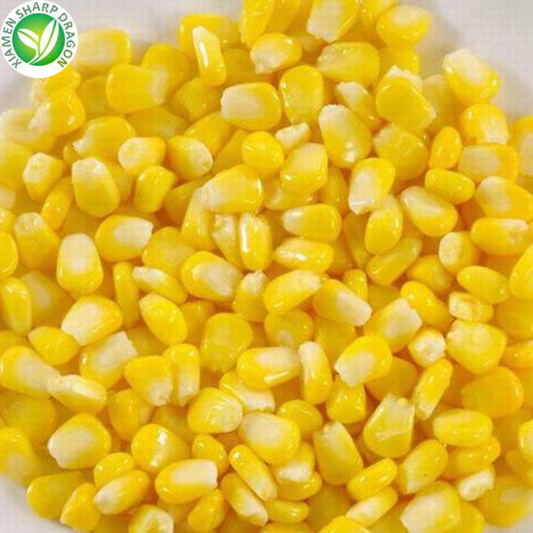 frozen sweet corn bulk price
