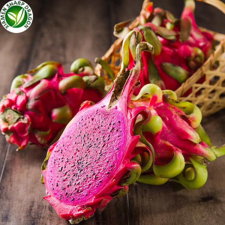 Whole red-skinned pitaya beside a cut fruit with vivid magenta flesh