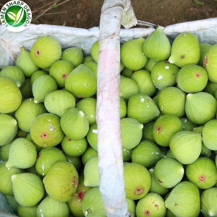 A food-crop identity requires more than the name fig green figs collected in a harvest basket for food use