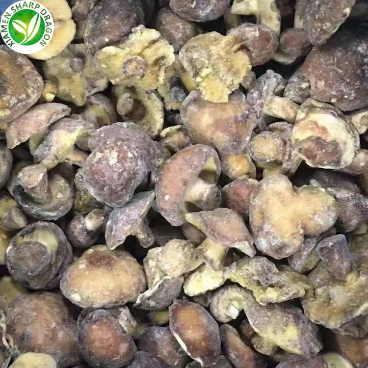 wholesale suillus granulatus 