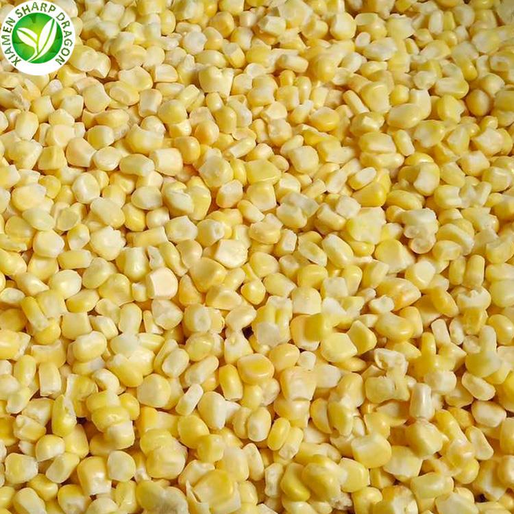 Wholesale best  frozen corn 