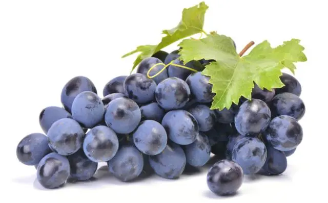 grape grape