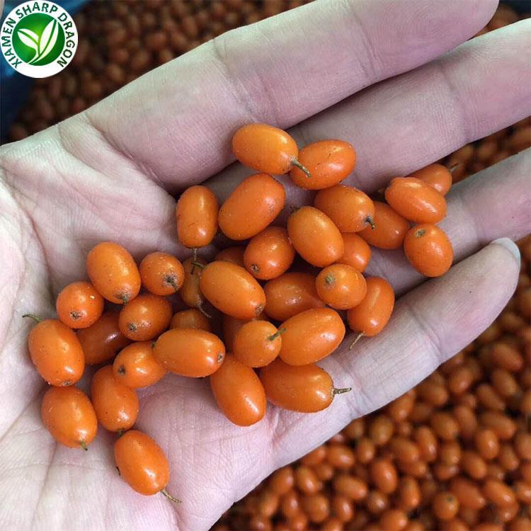 فواكه البحر النبق المجمدة frozen sea buckthorn fruit