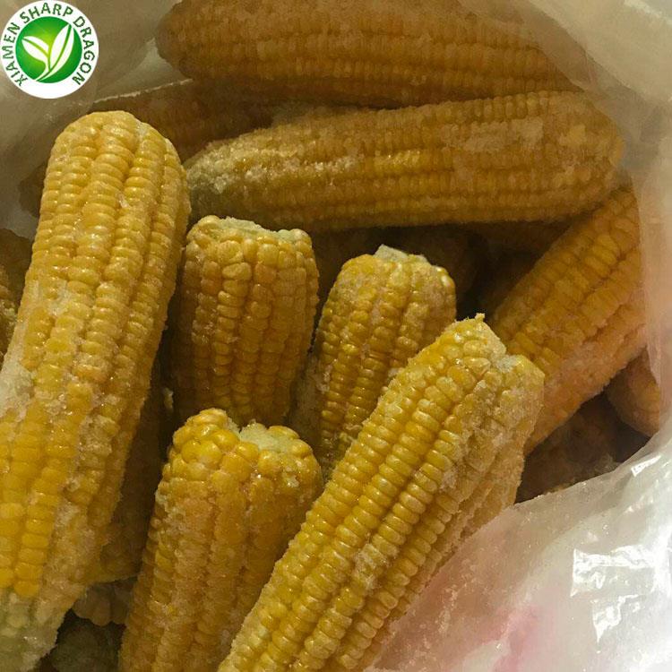 IQF الذرة على الكوز المجمدة IQF Corn On The Cob Frozen
