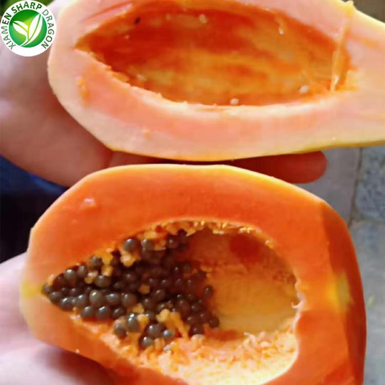 best peeled papaya best peeled papaya