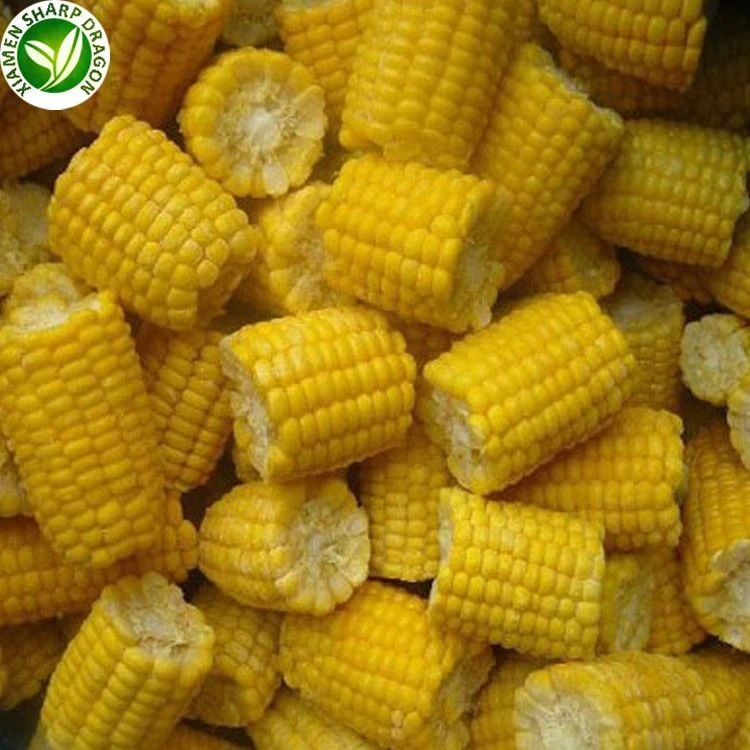 شراء الذرة المجمدة بكميات كبيرة buy frozen corn in bulk