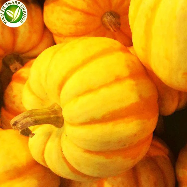 mini pumpkin cost product-1-1