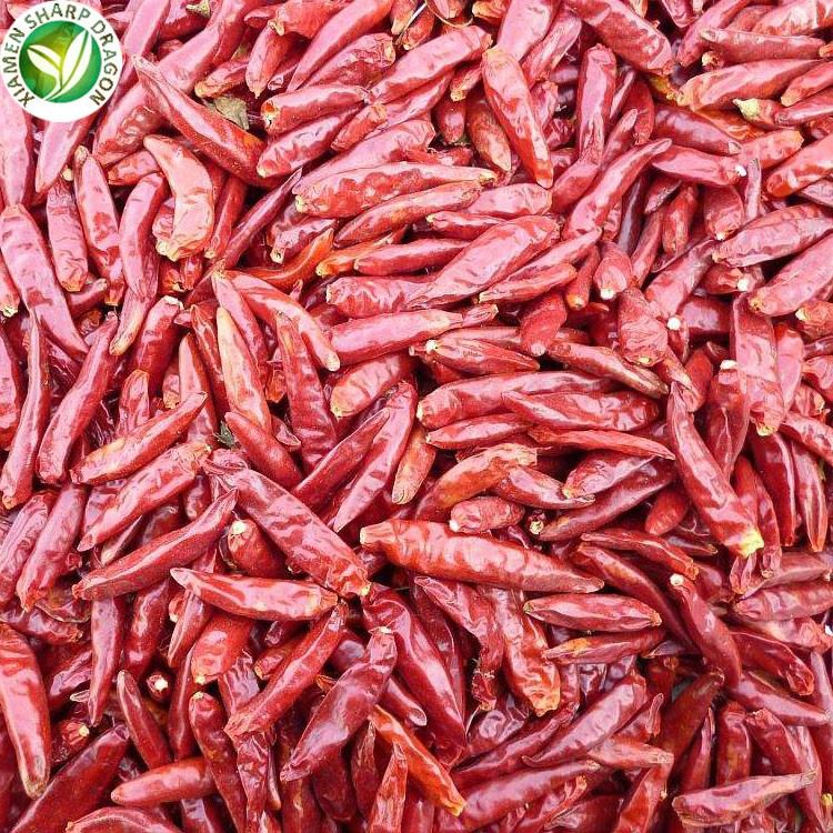 Chili food for china