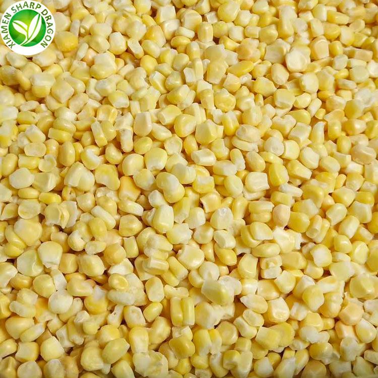 yellow corn suppliers product-1-1