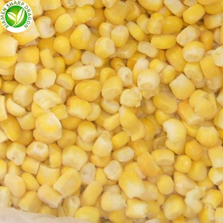 yellow corn bulk