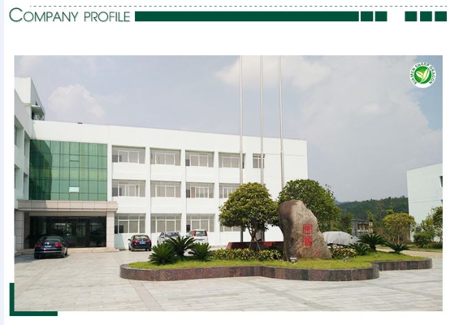 XMSDfood company profile for frozen sweet potato fries buyers XMSDfood company profile for frozen sweet potato fries buyers