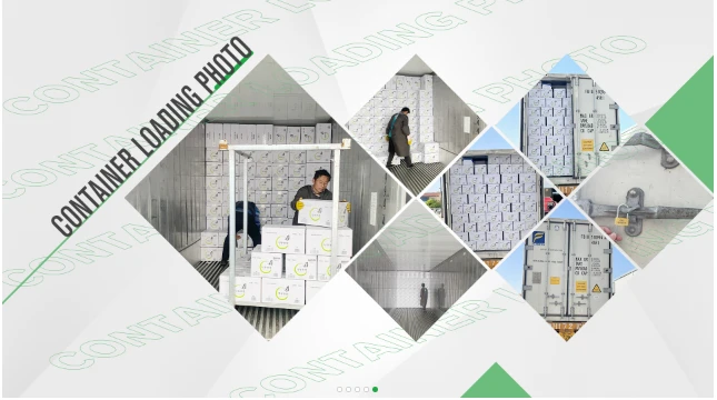 product-645-360 product-645-360
