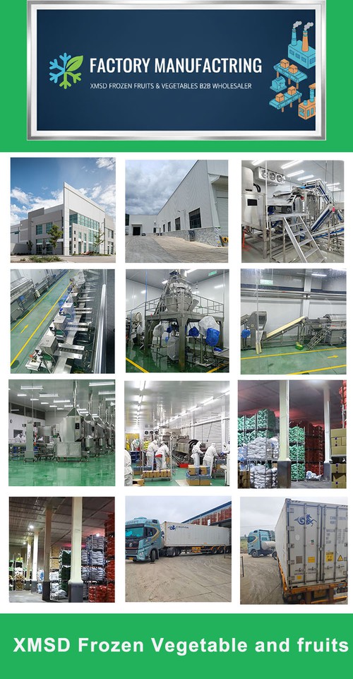 XMSD Stable Factory-Based Supply XMSD Stable Factory-Based Supply