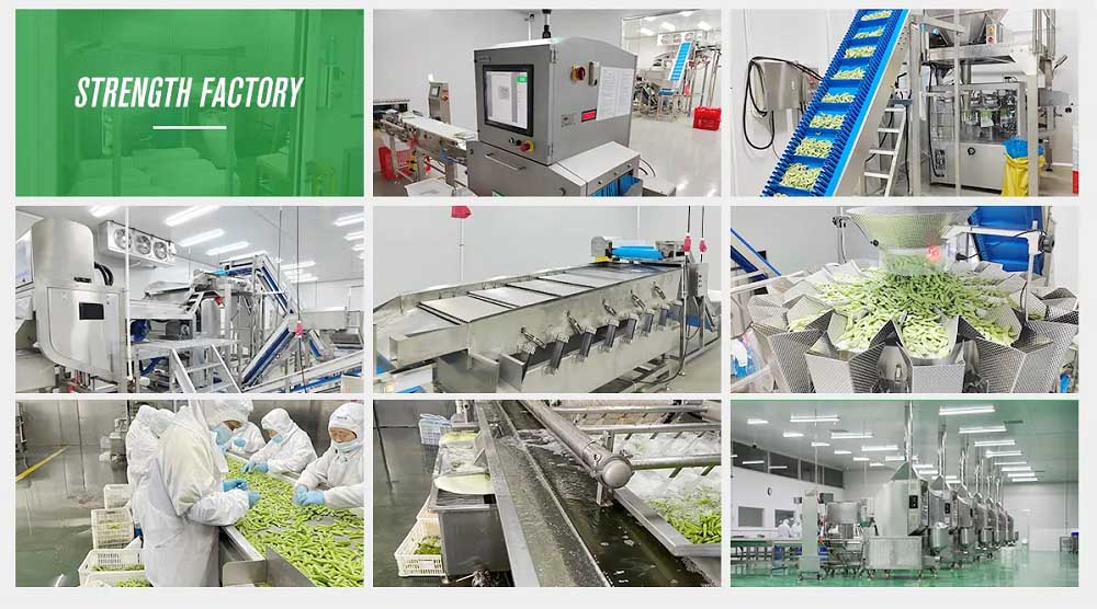 Frozen Potato Production Capability Frozen potato product production capability for hash browns buyers
