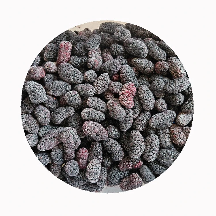 frozen Mulberry for functional food industry frozen Mulberry for functional food industry