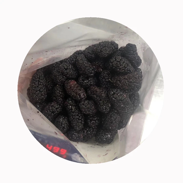 frozen Mulberry for sports nutrition industry frozen Mulberry for sports nutrition industry
