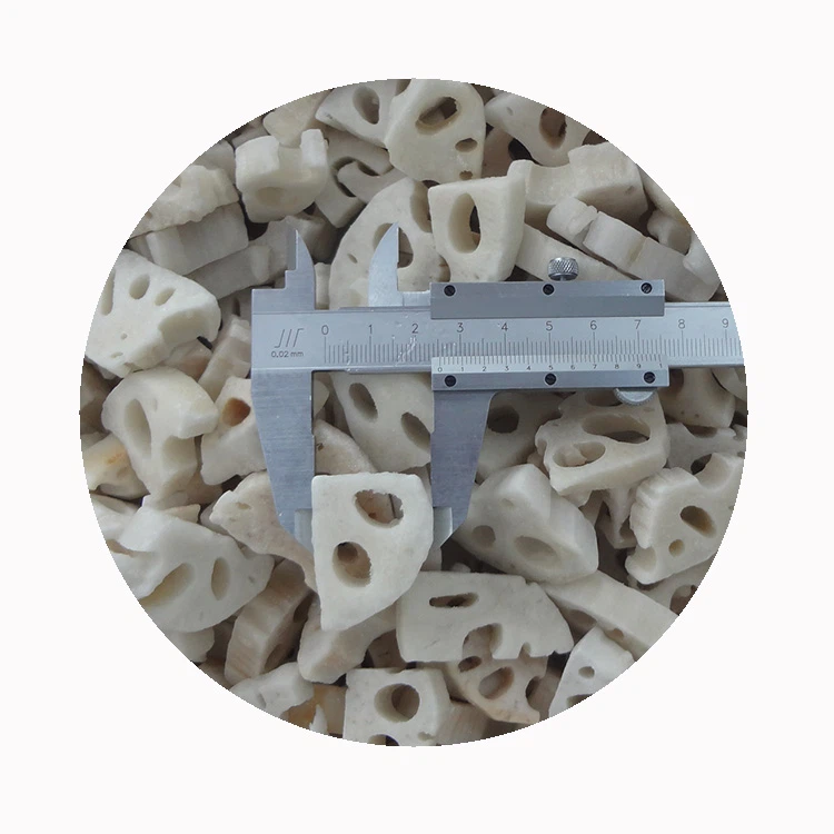 frozen-lotus-root-quarter-cuts frozen-lotus-root-quarter-cuts