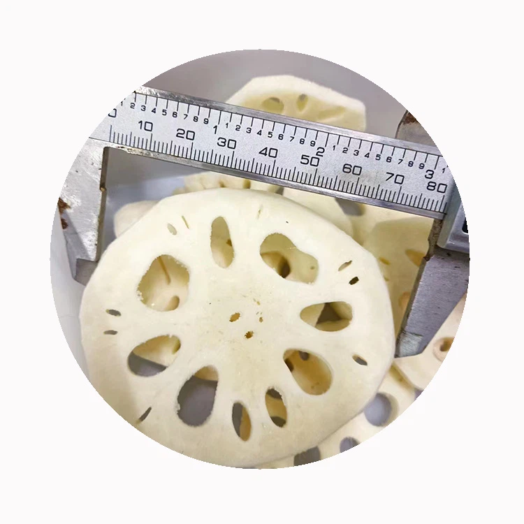 xmsdfood-frozen-renkon-supplier-china xmsdfood-frozen-renkon-supplier-china