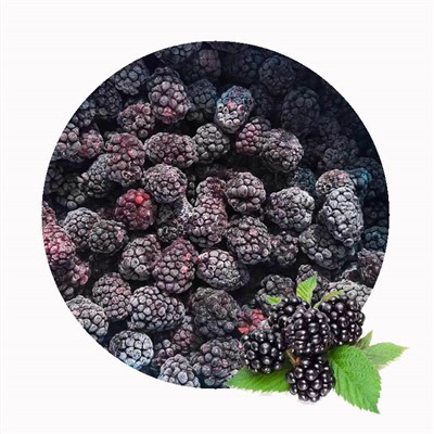 IQF Frozen Blackberry Fruit