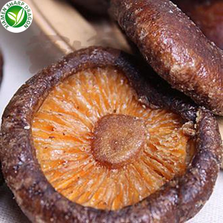 Mushroom Chips Price