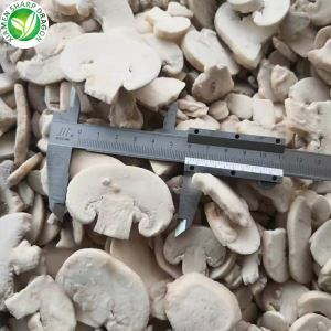 سعر الفطر الابيض