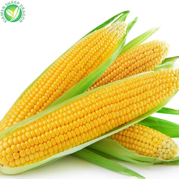 Frozen Sweet Corn Half