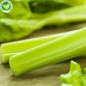 تصدير خضار مجمدة