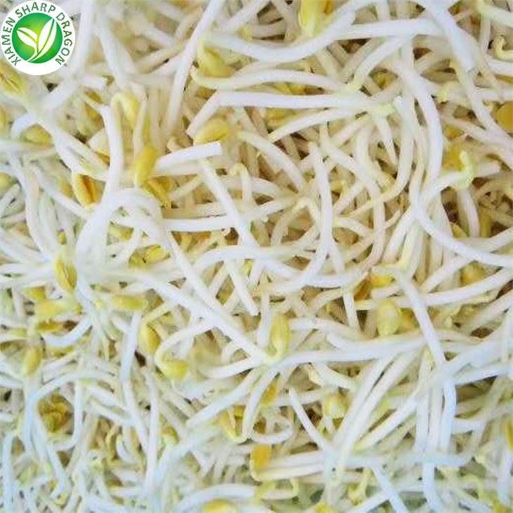 مونغ فول براعم