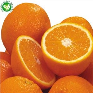 البرتقال الطازج