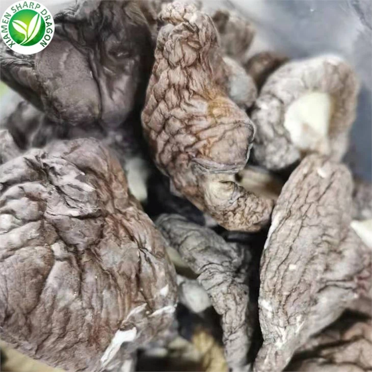 Dried Mushrooms For Sale