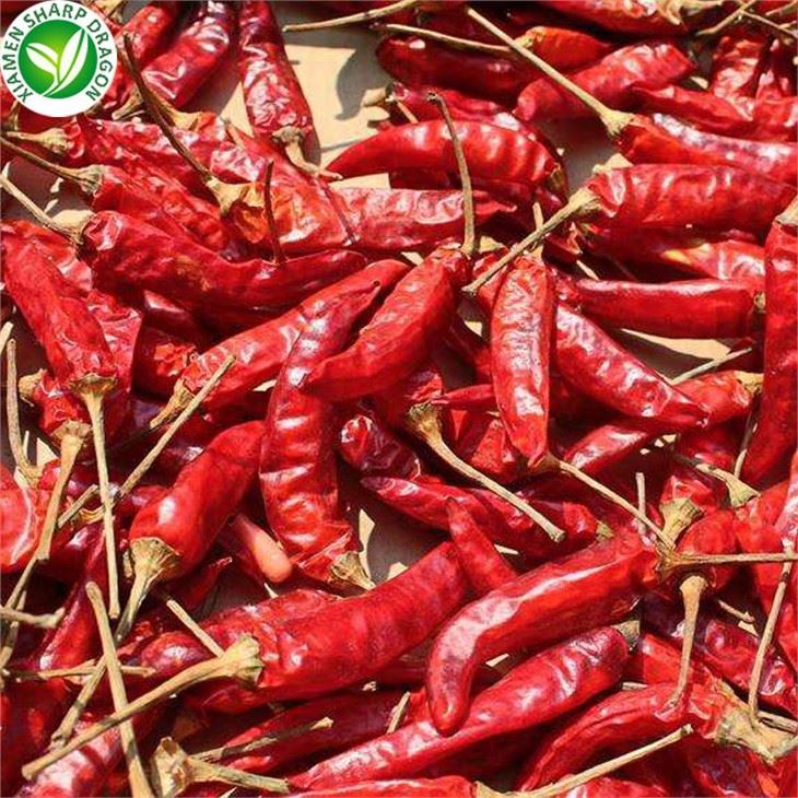 Dried Red Chili Pepper