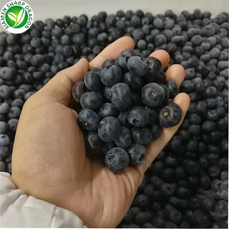 Frozen Blueberry Latest Price