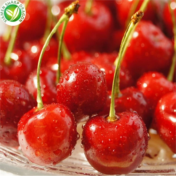 Fruit Canned Cherry In Syrup