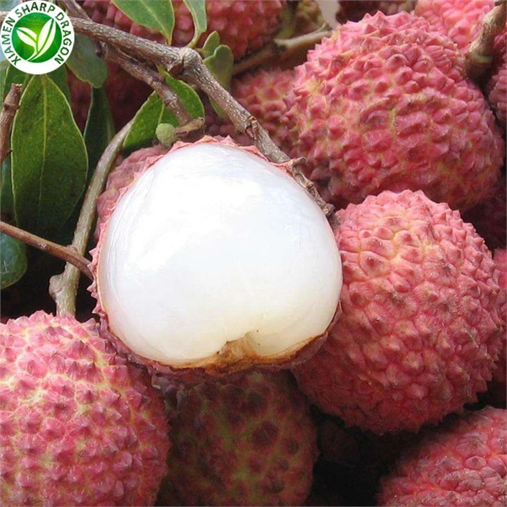 Lychee Fruit Season