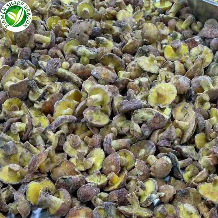 Matsutake Mushrooms For Sale
