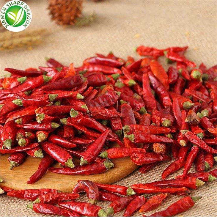 New Chili Supplier