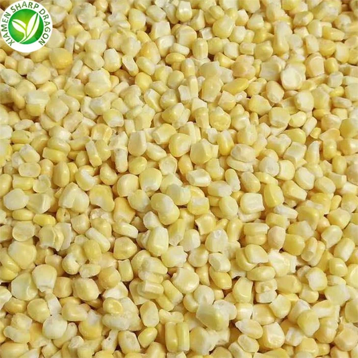 Organic Corn Kernel