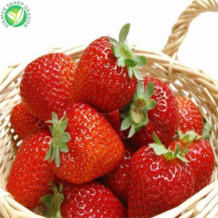 Strawberry Frozen Wholesale