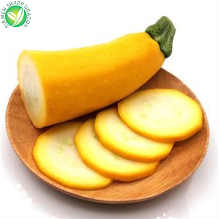 Zucchini Market Prices